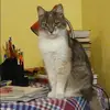 Отзыв от Лидия Исакова